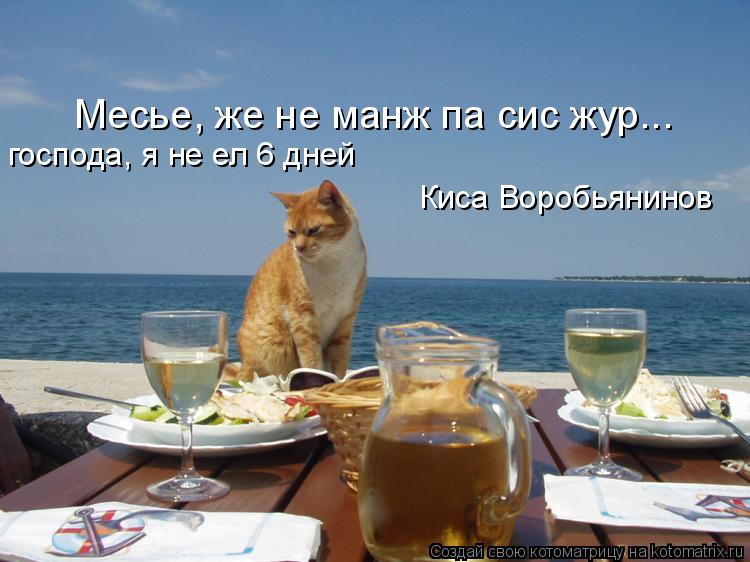 Месье, же не манж па сис жур... господа, я не ел 6 дней Киса Воробьянинов... Котоматрица: Месье, же не манж па сис жур... господа, я не ел 6 дней Киса Воробьянинов