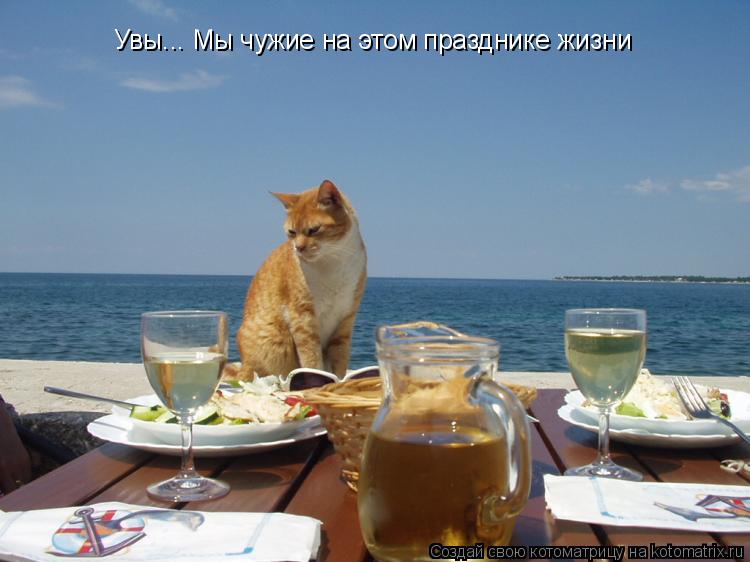 Увы... Мы чужие на этом празднике жизни... Котоматрица: Увы... Мы чужие на этом празднике жизни