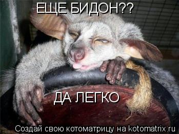 ЕЩЕ БИДОН?? ДА ЛЕГКО... Котоматрица: ЕЩЕ БИДОН?? ДА ЛЕГКО