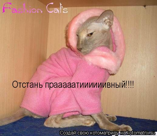 Отстань прааааатиииииивный!!!!... Котоматрица: Отстань прааааатиииииивный!!!!