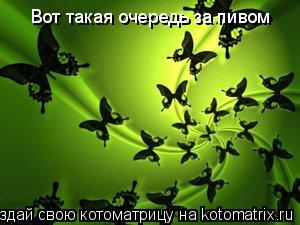 Вот такая очередь за пивом... Котоматрица: Вот такая очередь за пивом