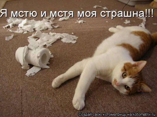 Я мстю и мстя моя страшна!!!... Котоматрица: Я мстю и мстя моя страшна!!!