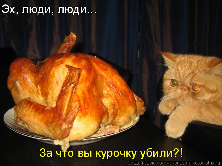 Эх, люди, люди... За что вы курочку убили?!... Котоматрица: Эх, люди, люди... За что вы курочку убили?!