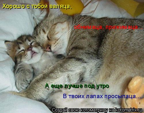 Хорошо с тобой валяца, В твоих лапах просыпаца.... обнимаца, прижимаца... А еще лучше под утро... Котоматрица: Хорошо с тобой валяца, В твоих лапах просыпаца.... обнимаца, прижимаца... А еще лучше под утро