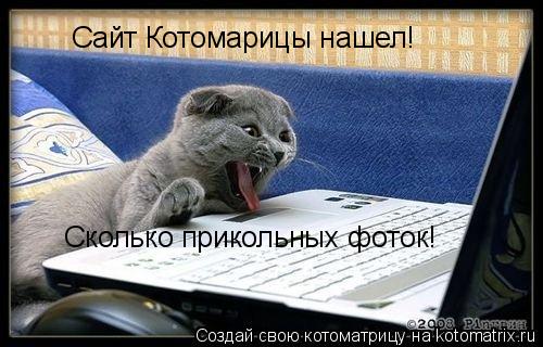 Сайт Котомарицы нашел! Сколько прикольных фоток!... Котоматрица: Сайт Котомарицы нашел! Сколько прикольных фоток!