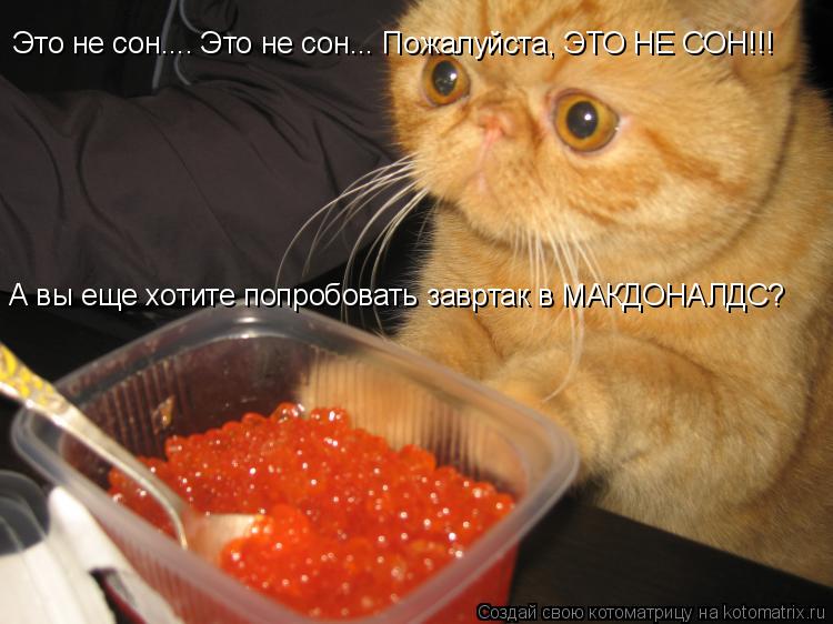 Это не сон.... Это не сон... Пожалуйста, ЭТО НЕ СОН!!! А вы еще хотите попробовать завртак в МАКДОНАЛ... Котоматрица: Это не сон.... Это не сон... Пожалуйста, ЭТО НЕ СОН!!! А вы еще хотите попробовать завртак в МАКДОНАЛДС?