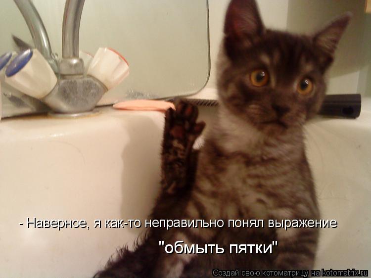 - Наверное, я как-то неправильно понял выражение "обмыть пятки" "обмыть пятки"... Котоматрица: - Наверное, я как-то неправильно понял выражение "обмыть пятки" "обмыть пятки"