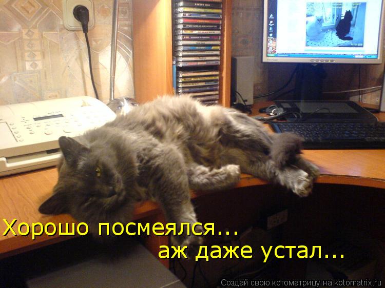 Хорошо посмеялся... аж даже устал...... Котоматрица: Хорошо посмеялся... аж даже устал...