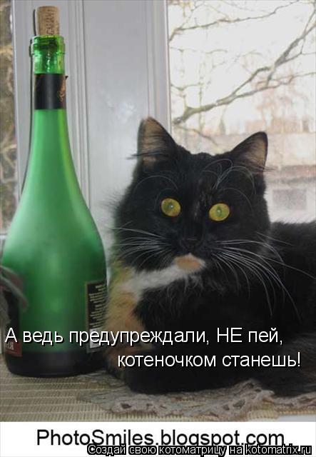 А ведь предупреждали, НЕ пей, котеночком станешь!... Котоматрица: А ведь предупреждали, НЕ пей, котеночком станешь!
