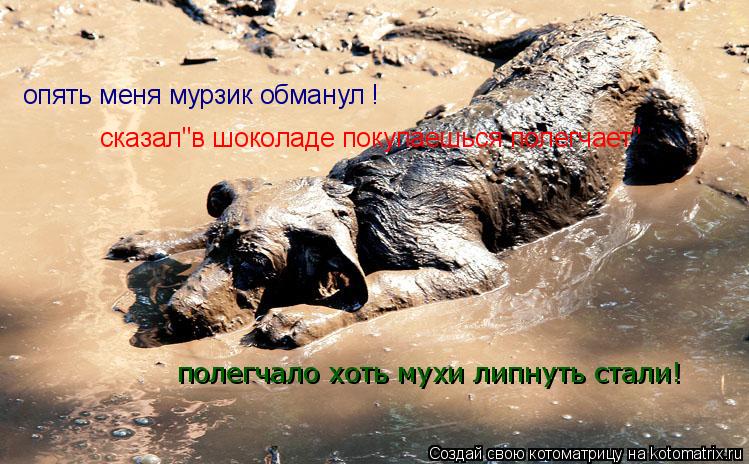 опять меня мурзик обманул ! сказал"в шоколаде покупаешься полегчает" полегчало хоть мухи липнуть стал... Котоматрица: опять меня мурзик обманул ! сказал"в шоколаде покупаешься полегчает" полегчало хоть мухи липнуть стали!