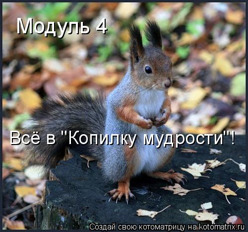 Модуль 4 Всё в "Копилку мудрости"!... Котоматрица: Модуль 4 Всё в "Копилку мудрости"!