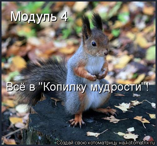 Котоматрица: Модуль 4 Всё в "Копилку мудрости"!