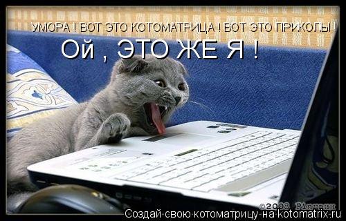 УМОРА ! ВОТ ЭТО КОТОМАТРИЦА ! ВОТ ЭТО ПРИКОЛЫ ! Ой , ЭТО ЖЕ Я !... Котоматрица: УМОРА ! ВОТ ЭТО КОТОМАТРИЦА ! ВОТ ЭТО ПРИКОЛЫ ! Ой , ЭТО ЖЕ Я !