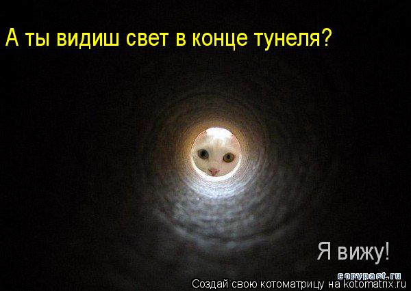 А ты видиш свет в конце тунеля? Я вижу!... Котоматрица: А ты видиш свет в конце тунеля? Я вижу!