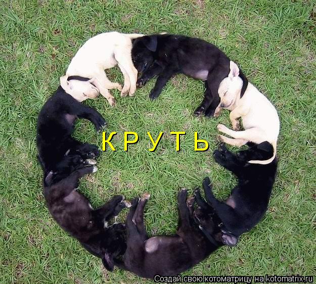 К Р У Т Ь... Котоматрица: К Р У Т Ь