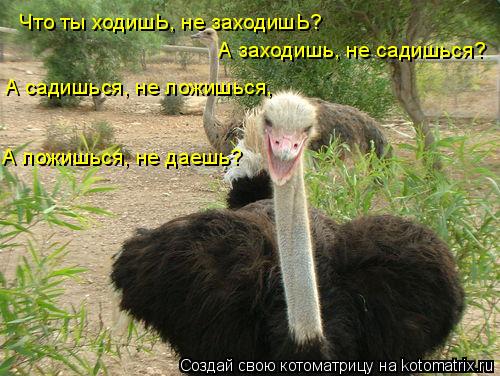 Что ты ходишь не заходишь Что ты ходишь не заходишь