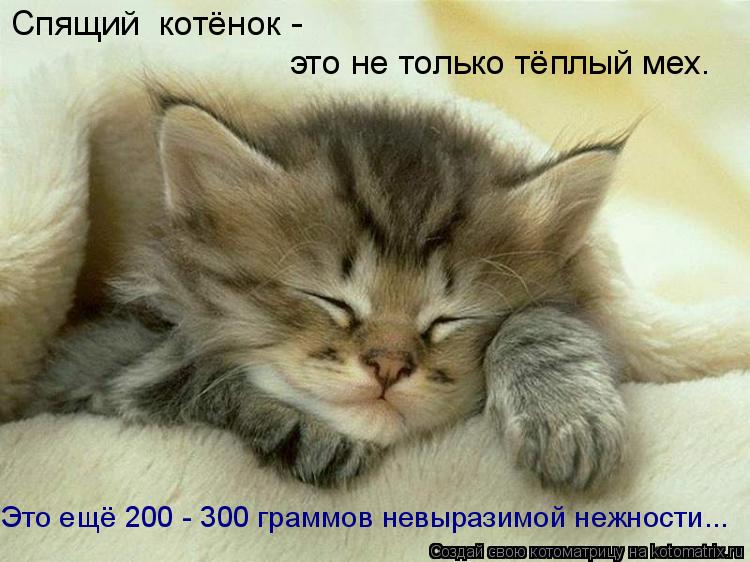 Котоматрица: Спящий  котёнок -  это не только тёплый мех. Это ещё 200 - 300 граммов невыразимой нежности...
