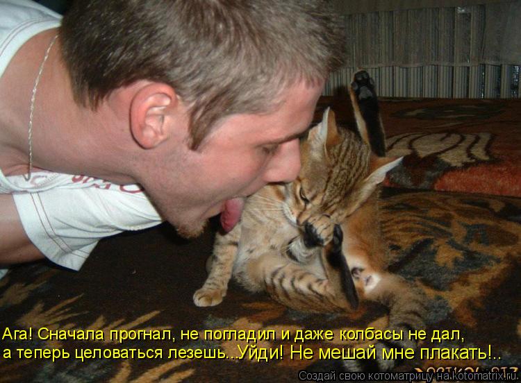Котоматрица: Ага! Сначала прогнал, не погладил и даже колбасы не дал, а теперь целоваться лезешь... Уйди! Не мешай мне плакать!..