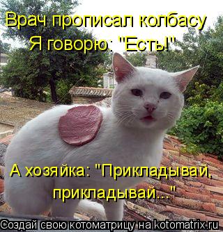 Котоматрица: Врач прописал колбасу Я говорю: "Есть!" А хозяйка: "Прикладывай,  прикладывай..."