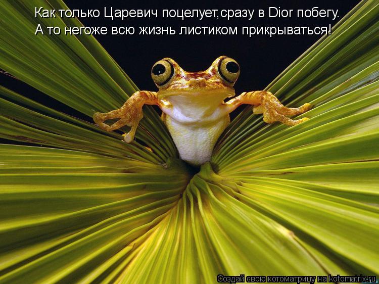 Как только Царевич поцелует,сразу в Dior побегу. А то негоже всю жизнь листиком прикрываться!... Котоматрица: Как только Царевич поцелует,сразу в Dior побегу. А то негоже всю жизнь листиком прикрываться!