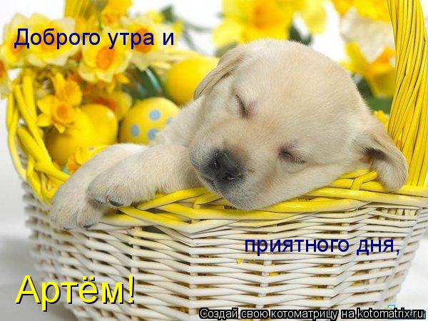 Котоматрица: Артём! Доброго утра и  приятного дня,