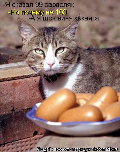 -Я сказал 99 сарделяк -Но почему не 100 -А я шо свиня какаята... Котоматрица: -Я сказал 99 сарделяк -Но почему не 100 -А я шо свиня какаята