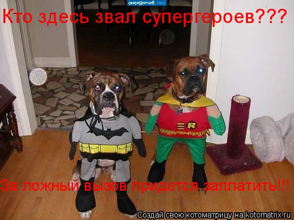 Кто здесь звал супергероев??? За ложный вызов придется заплатить!!!... Котоматрица: Кто здесь звал супергероев??? За ложный вызов придется заплатить!!!