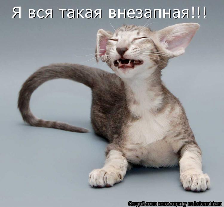 Я вся такая внезапная!!!... Котоматрица: Я вся такая внезапная!!!