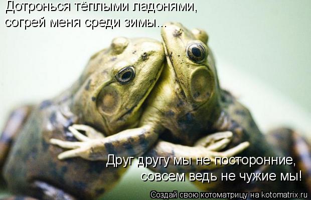 Дотронься тёплыми ладонями, согрей меня среди зимы... Друг другу мы не посторонние, совсем ведь не чу... Котоматрица: Дотронься тёплыми ладонями, согрей меня среди зимы... Друг другу мы не посторонние, совсем ведь не чужие мы!