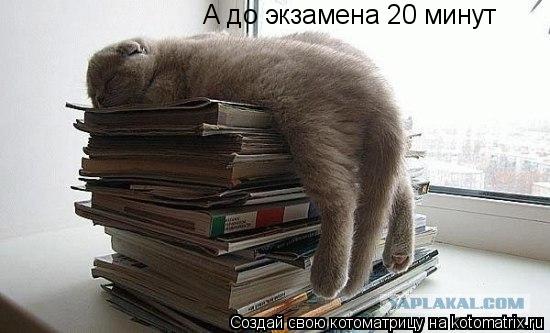 Котоматрица: А до экзамена 20 минут