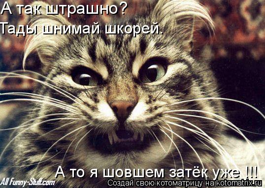 А так штрашно? Тады шнимай шкорей. А то я шовшем затёк уже !!!... Котоматрица: А так штрашно? Тады шнимай шкорей. А то я шовшем затёк уже !!!