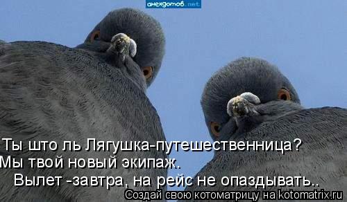 Котоматрица: Ты што ль Лягушка-путешественница? Мы твой новый экипаж.  Вылет -завтра, на рейс не опаздывать..