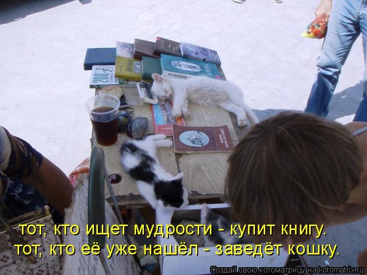 Котоматрица: тот, кто ищет мудрости - купит книгу. тот, кто её уже нашёл - заведёт кошку.