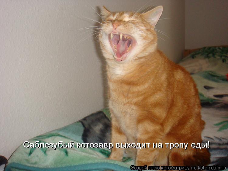 Саблезубый котозавр выходит на тропу еды!... Котоматрица: Саблезубый котозавр выходит на тропу еды!