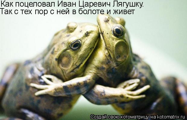 Котоматрица: Как поцеловал Иван Царевич Лягушку.  Так с тех пор с ней в болоте и живет