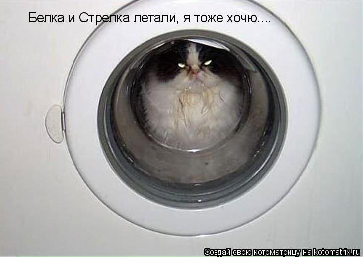 Белка и Стрелка летали, я тоже хочю....... Котоматрица: Белка и Стрелка летали, я тоже хочю....