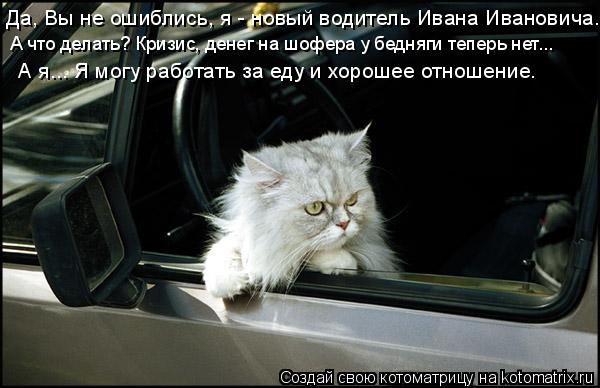 Да, Вы не ошиблись, я - новый водитель Ивана Ивановича. А что делать? Кризис, денег на шофера у бедня... Котоматрица: Да, Вы не ошиблись, я - новый водитель Ивана Ивановича. А что делать? Кризис, денег на шофера у бедняги теперь нет... А я... Я могу работать за еду