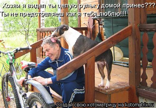 Хозяи я видел ты целую рульку домой принес??? Ты не предстовляеш как я тебя люблю!!!... Котоматрица: Хозяи я видел ты целую рульку домой принес??? Ты не предстовляеш как я тебя люблю!!!