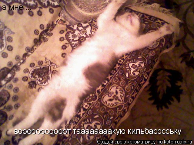а мне ... вооооооооооот таааааааакую кильбасссську... Котоматрица: а мне ... вооооооооооот таааааааакую кильбасссську