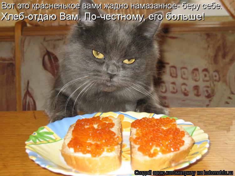 Хлеб-отдаю Вам. По-честному, его больше! Вот это красненькое вами жадно намазанное- беру себе.... Котоматрица: Хлеб-отдаю Вам. По-честному, его больше! Вот это красненькое вами жадно намазанное- беру себе.