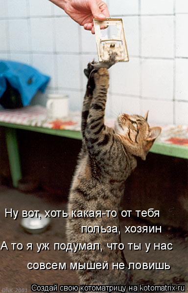 Ну вот, хоть какая-то от тебя польза, хозяин А то я уж подумал, что ты у нас совсем мышей не ловиш... Котоматрица: Ну вот, хоть какая-то от тебя польза, хозяин А то я уж подумал, что ты у нас совсем мышей не ловишь