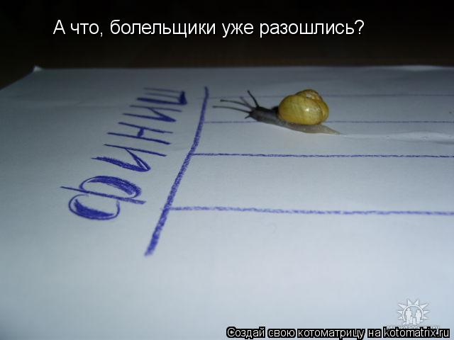 А что, болельщики уже разошлись?... Котоматрица: А что, болельщики уже разошлись?