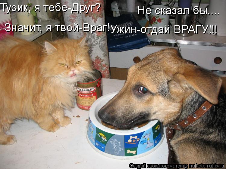Котоматрица: Значит, я твой-Враг! Тузик, я тебе-Друг? Не сказал бы.... Ужин-отдай ВРАГУ!!!