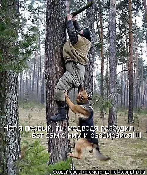 Нет я первый, ты медведя разбудил, вот сам с ним и разбирайся!!!!... Котоматрица: Нет я первый, ты медведя разбудил, вот сам с ним и разбирайся!!!!