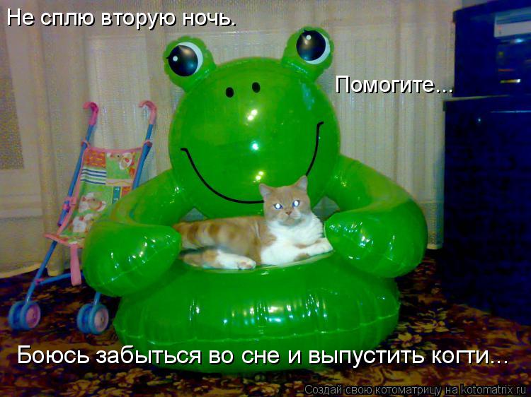 Не сплю вторую ночь. Помогите... Боюсь забыться во сне и выпустить когти...... Котоматрица: Не сплю вторую ночь. Помогите... Боюсь забыться во сне и выпустить когти...