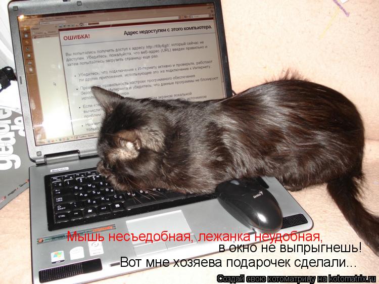Мышь несъедобная, лежанка неудобная, в окно не выпрыгнешь! Вот мне хозяева подарочек сделали...... Котоматрица: Мышь несъедобная, лежанка неудобная, в окно не выпрыгнешь! Вот мне хозяева подарочек сделали...