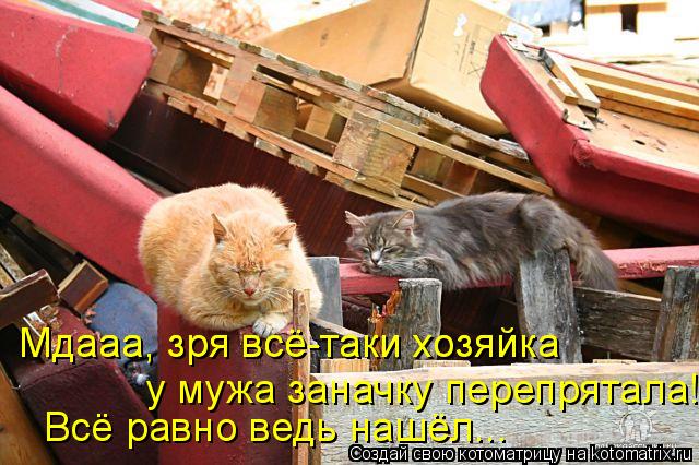 Мдааа, зря всё-таки хозяйка Мдааа, зря всё-таки хозяйка у мужа заначку перепрятала! Всё равно ведь на... Котоматрица: Мдааа, зря всё-таки хозяйка Мдааа, зря всё-таки хозяйка у мужа заначку перепрятала! Всё равно ведь нашёл...
