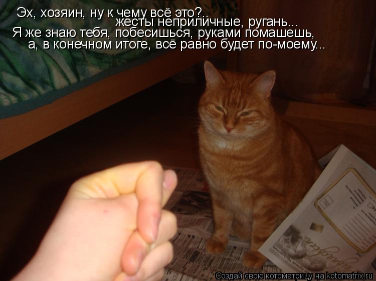 Картинка 77 из 3796