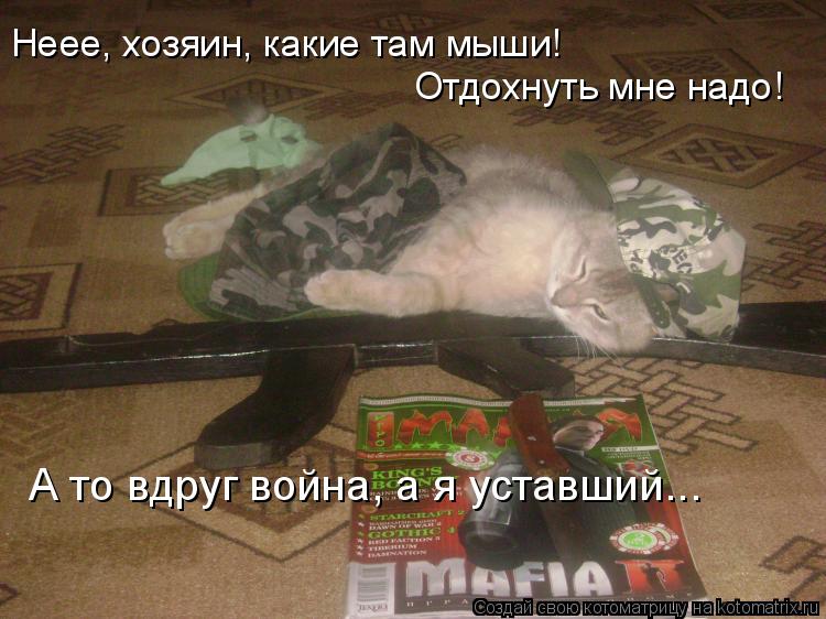 Неее, хозяин, какие там мыши! Отдохнуть мне надо! А то вдруг война, а я уставший...... Котоматрица: Неее, хозяин, какие там мыши! Отдохнуть мне надо! А то вдруг война, а я уставший...