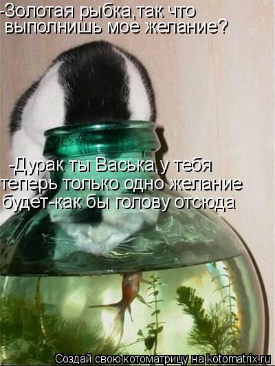 -Золотая рыбка,так что выполнишь мое желание? -Дурак ты Васька,у тебя теперь только одно желание б... Котоматрица: -Золотая рыбка,так что выполнишь мое желание? -Дурак ты Васька,у тебя теперь только одно желание будет-как бы голову отсюда